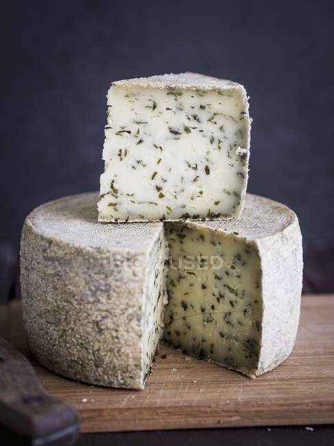 Rund georgischer käse — Stockfoto