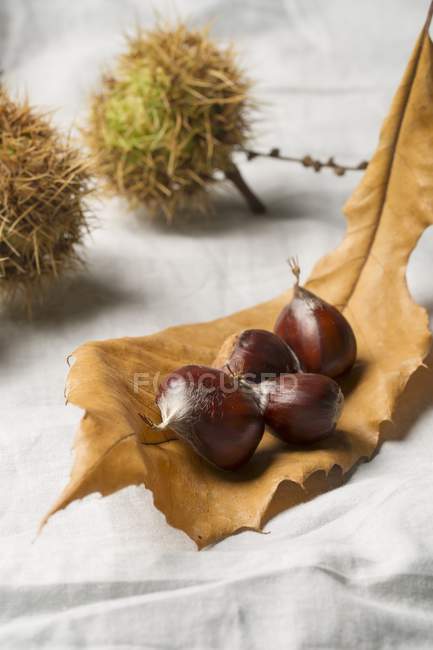 Sweet chestnuts on autumnal leaf — Stock Photo