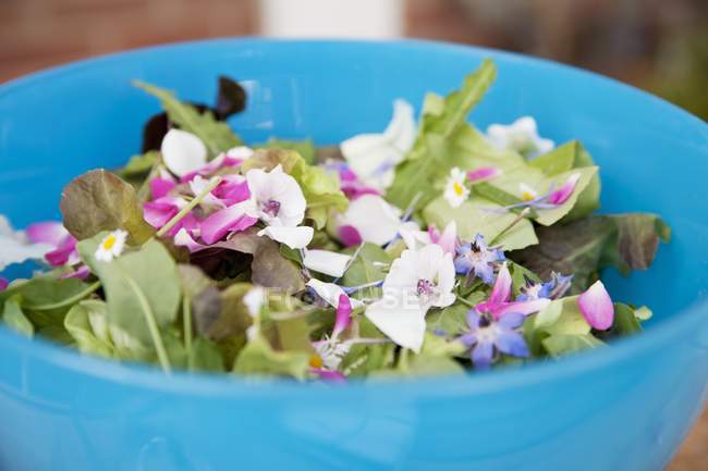 Folhas de salada mistas com flores comestíveis — Fotografia de Stock