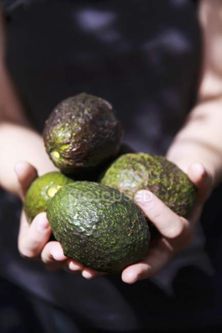 Female hands holding avocados — Stock Photo