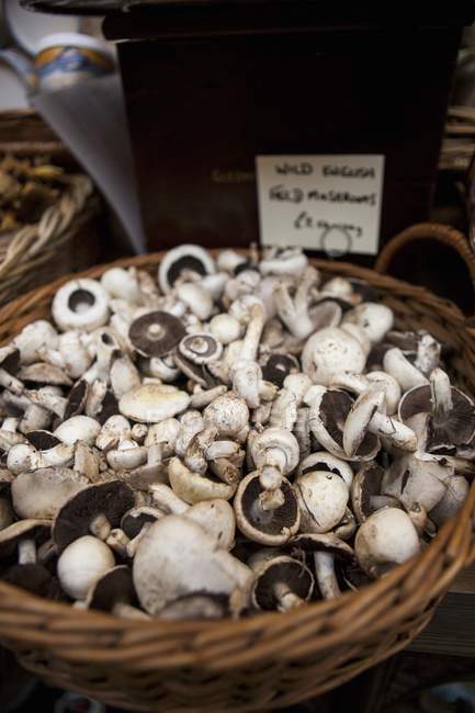 Funghi freschi in un cesto — Foto stock