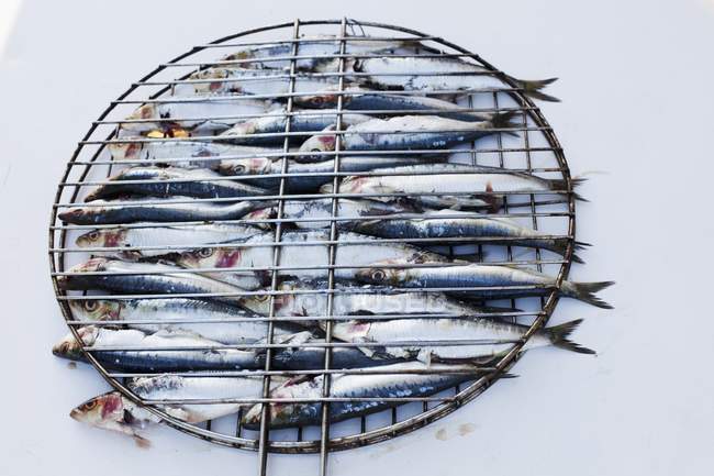 Raw sardines in barbecue rack — Stock Photo