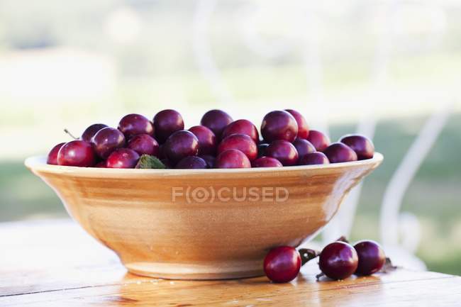 Prugne ciliegia in ciotola — Foto stock