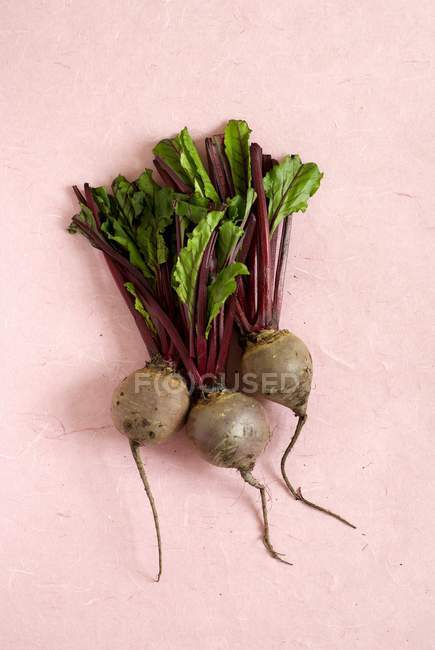 Fresh picked beetroot with stalks — Stock Photo