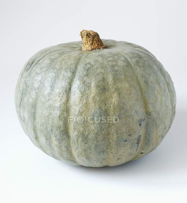 Fresh green pumpkin — Stock Photo