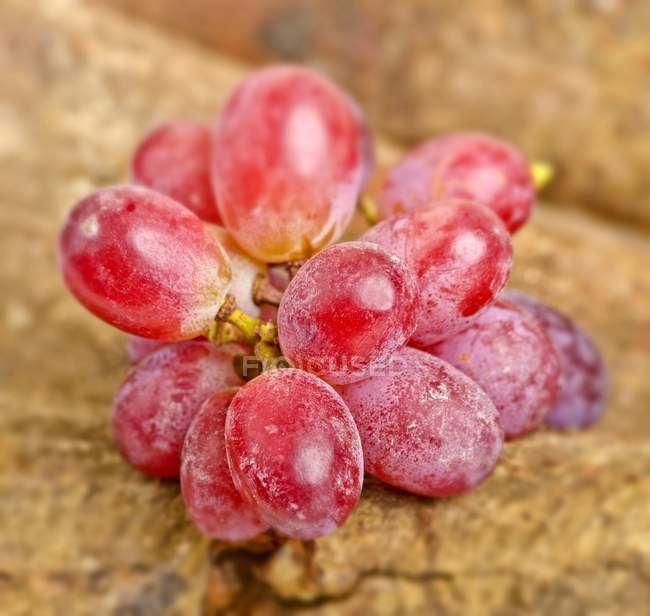 Uvas frescas de vino Ros - foto de stock