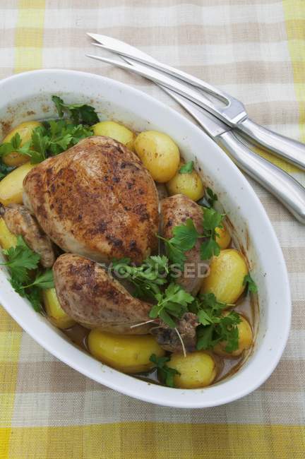 Whole Roasted chicken with parsley — Stock Photo