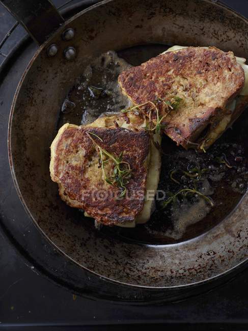 Rustic cheese on toast — Stock Photo