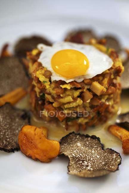Chanterelle tartare with quail's egg and black truffle on white plate — Stock Photo
