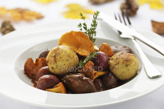 Ragoût de gibier aux boulettes — Photo de stock