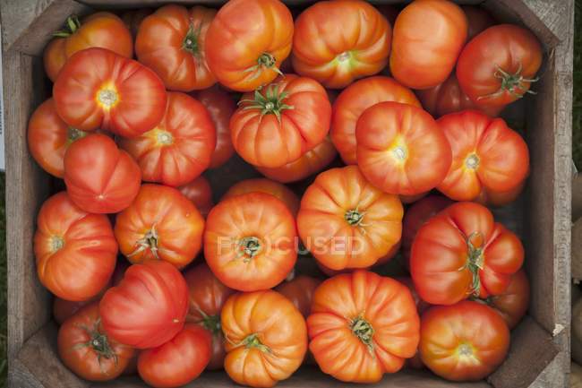 Tomatoes in wooden crate — Stock Photo