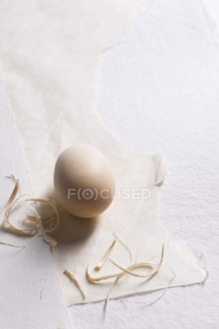 Huevo ecológico con paja sobre papel - foto de stock