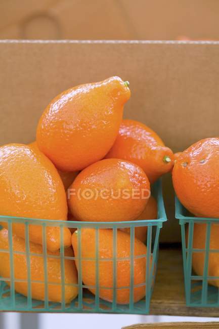 Frische reife Tangeloquats — Stockfoto