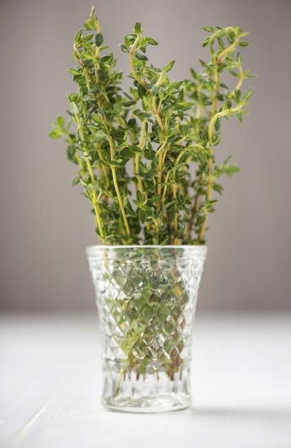 Fresh thyme in glass of water — Stock Photo