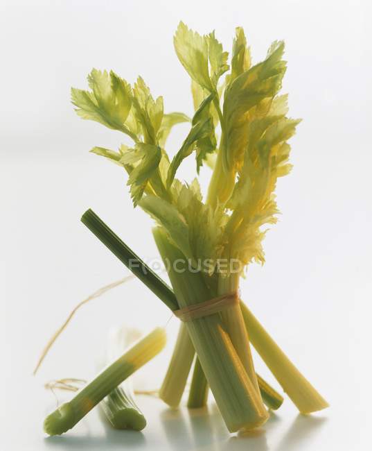 Tied Stalks of fresh celery — Stock Photo