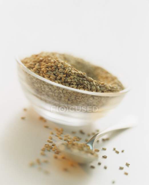 Sesame seeds in dish — Stock Photo