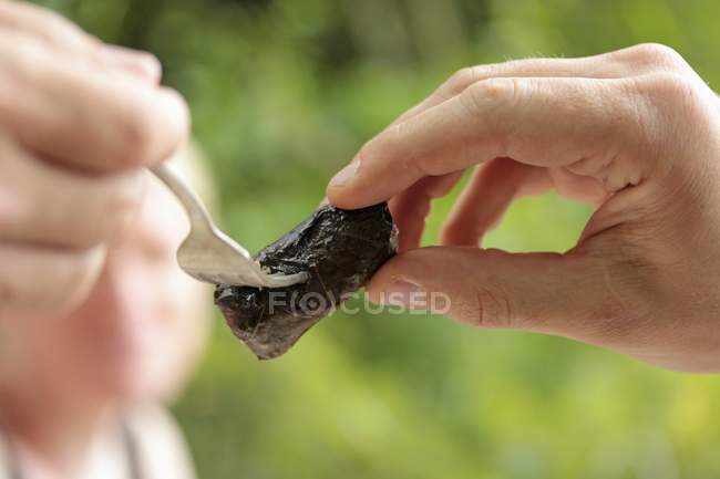 Una mano extendiendo la mano para tomar una dolmadakia (hoja de vid rellena) de un tenedor sostenido en otra mano - foto de stock