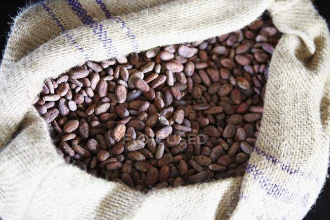 Какао-боби в вогнепальному мішку — стокове фото