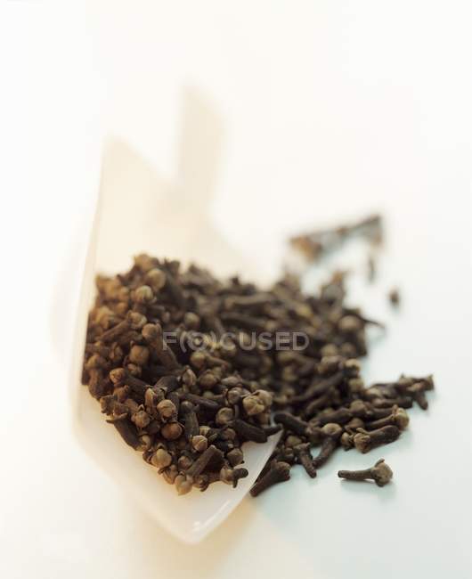 Cloves in a plastic scoop — Stock Photo