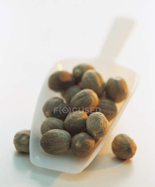 Nutmegs in plastic scoop — Stock Photo