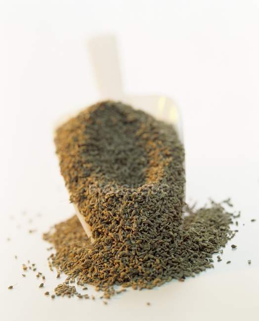 Fennel seeds in scoop — Stock Photo