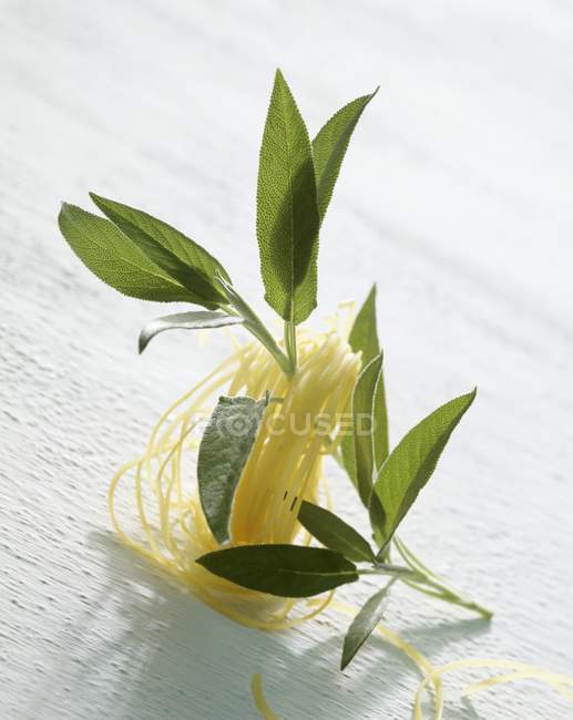 Closeup view of Sage sprig with noodles — Stock Photo