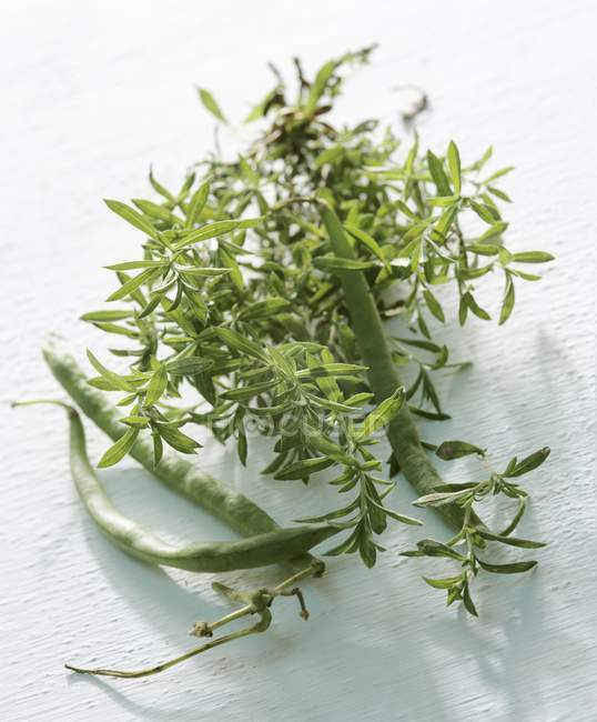 Rami salati verdi freschi e baccelli su superficie bianca — Foto stock