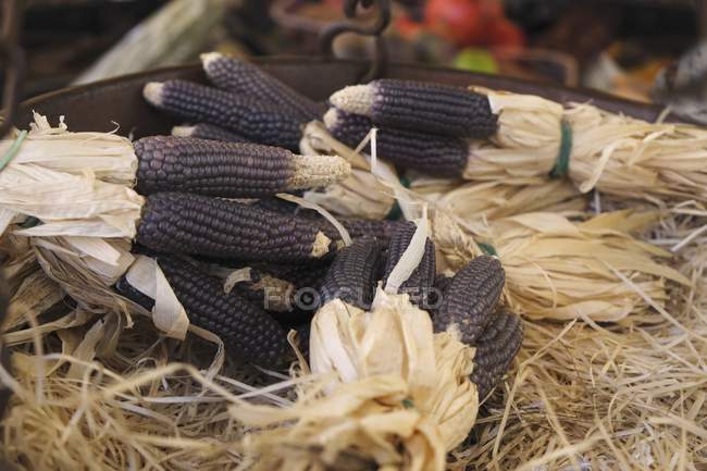 Purple corn at market — Stock Photo