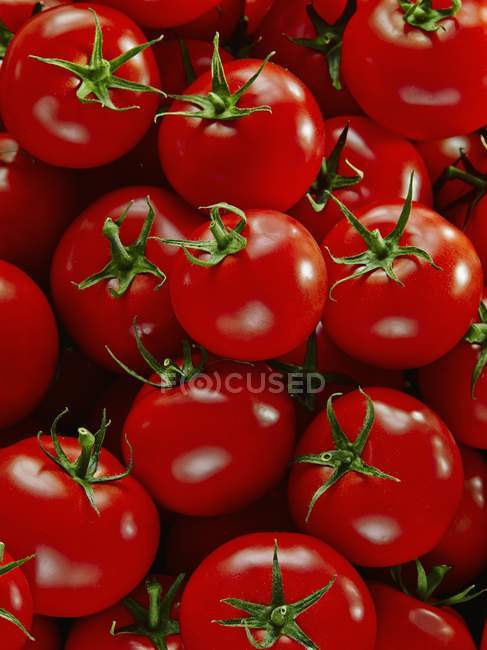 Tomates rouges mûres — Photo de stock