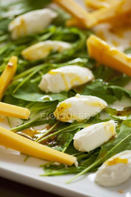 Boulettes de fromage de chèvre — Photo de stock