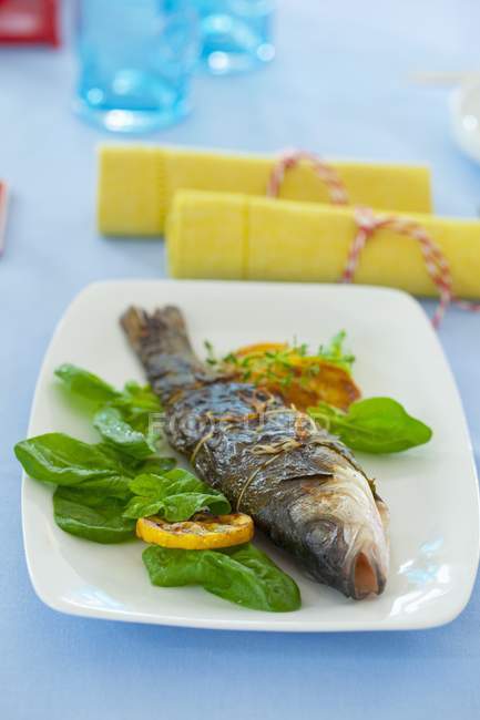 Grilled trout in vine leaves — Stock Photo