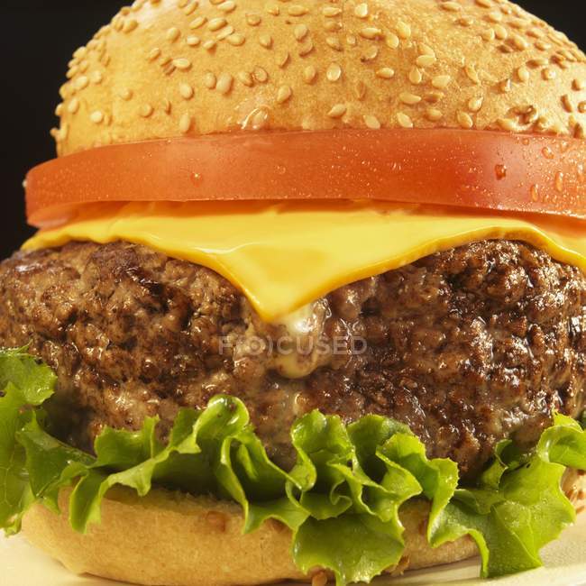 Cheeseburger mit Tomate und Salat — Stockfoto