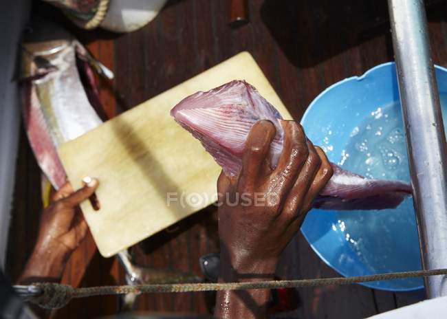 Main humaine tenant la queue de thon jaune fraîchement capturée pour sushi — Photo de stock
