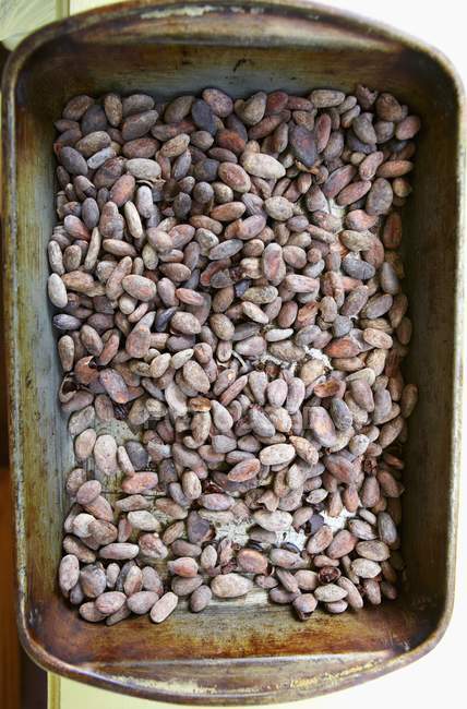 Fagioli di cacao arrosto — Foto stock