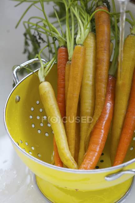Orangefarbene und gelbe Karotten — Stockfoto