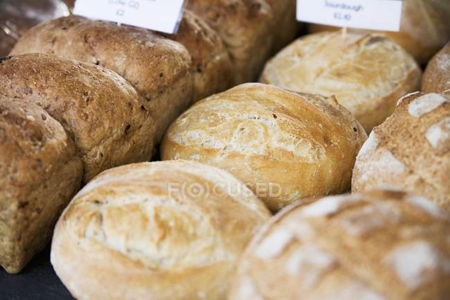 Pains et petits pains variés — Photo de stock