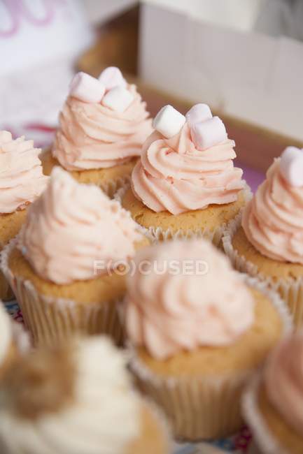 Cupcakes topped with butter-cream — Stock Photo