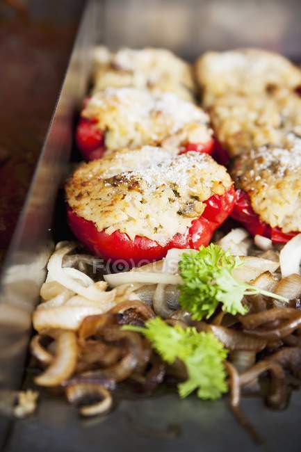 Stuffed tomatoes with cheese — Stock Photo