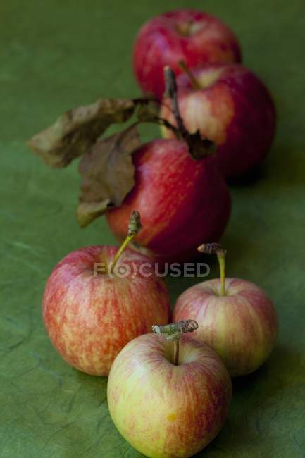Органические яблоки с листьями — стоковое фото