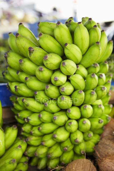 Mazzo di banane fresche — Foto stock