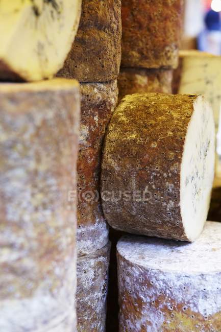 Varias ruedas de queso - foto de stock