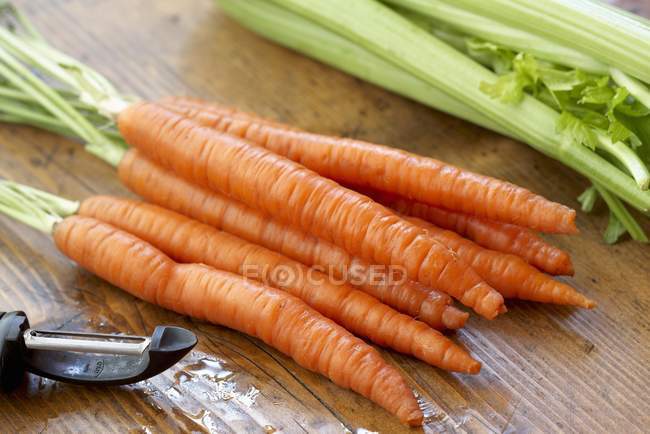 Raw fresh carrots — Stock Photo