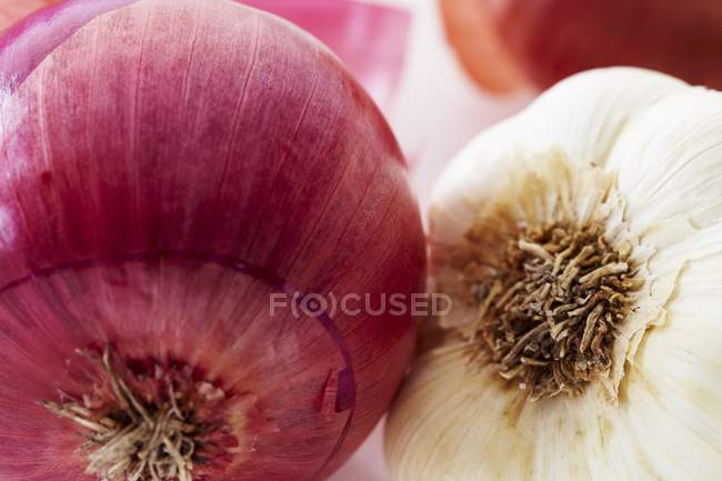 Красный лук и чесночная луковица — стоковое фото