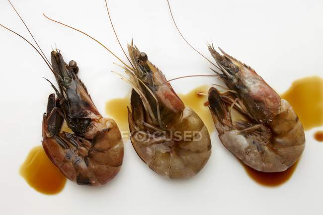 Crevettes crues en sauce soja — Photo de stock