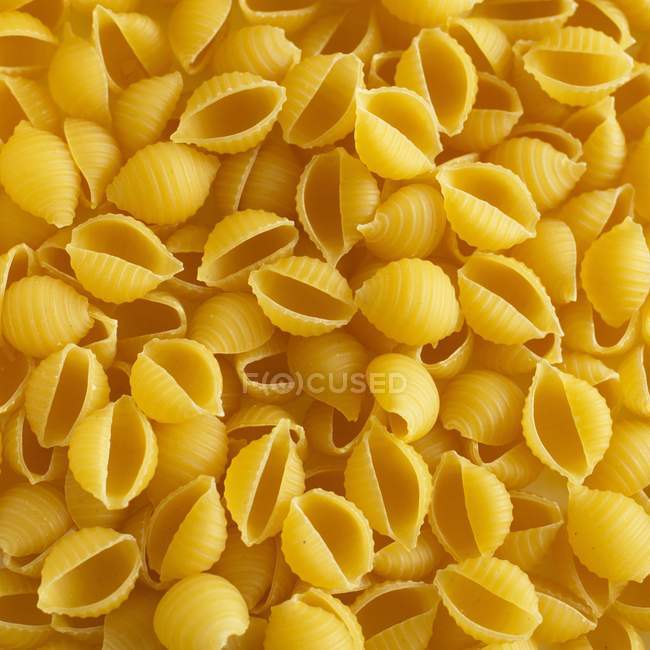 Conchas de pasta cruda - foto de stock