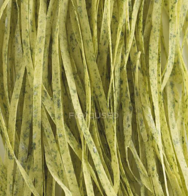 Шпинат Tagliatelle pasta — стоковое фото