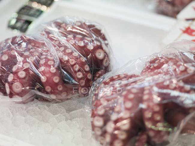 Octopuses in plastic bags — Stock Photo