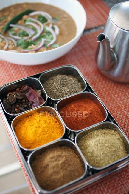 Vista ravvicinata della varietà di spezie in una scatola di spezie indiana — Foto stock
