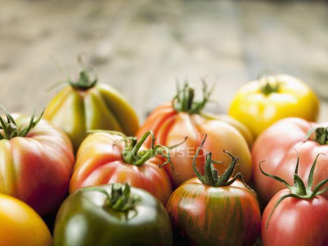 Разноцветные помидоры из бифштекса — стоковое фото