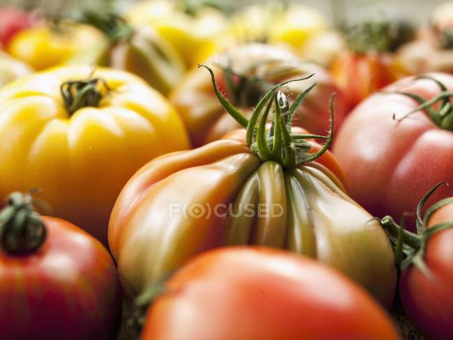 Colorful Beefsteak tomatoes — Stock Photo